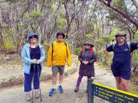 Guided walk in the Abel Tasman National Park