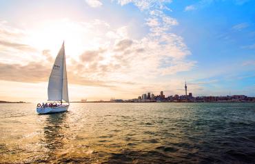 Twilight sailing on Auckland harbour - Boat trips and day cruises NZ