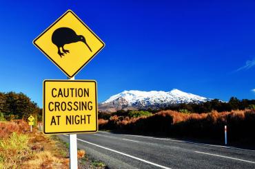Caution Kiwi! Road sign in New Zealand - Driving in NZ