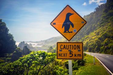 Watch out for Penguins! Road sign in New Zealand - Driving in NZ