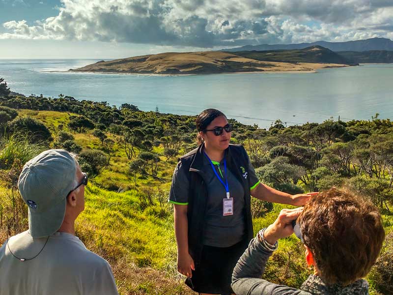 Tour guide and guests at the Hokianga Harbour lookout