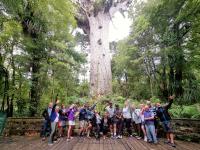 Tane Mahuta is a must see in Northland