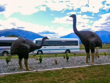 Life sized Moa statues and the MoaTrek coach