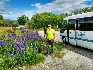 Tour coach stoppping by Lupins, South Island High Country