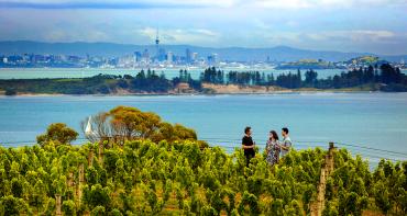 Wine tasting amongst the vines with views of Auckland city in the distance, Waiheke Island - NZ North Island Itinerary
