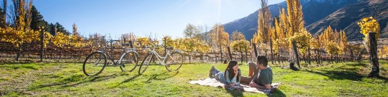 Couple relaxing on a sunny day in the vineyard - Planning NZ Trip
