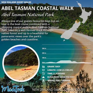 Abel Tasman Short Walk Infographic