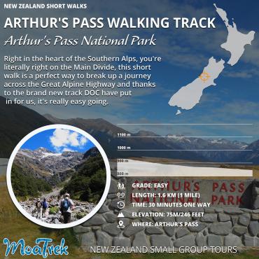 Arthur's Pass Walking Track Short Walk Infographic