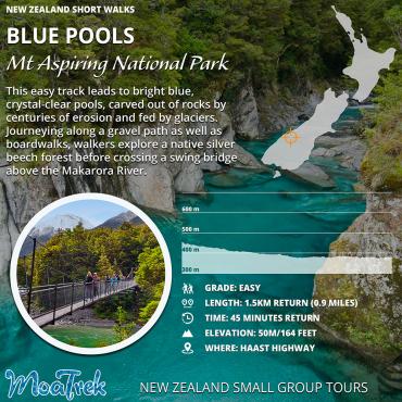 Blue Pools Wanaka Short Walk Infographic
