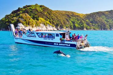 Cruising Abel Tasman with dolphins - NZ South Island Itinerary
